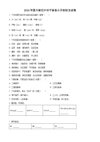 2024年四川省巴中市平昌县小升初考试语文试卷（原卷版+解析版）