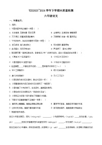 河南省许昌市禹州市2023-2024学年统编版六年级下册期末考试语文试卷（原卷版+解析版）