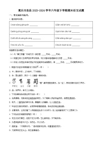 重庆市忠县2023-2024学年统编版六年级下册期末考试语文试卷（原卷版+解析版）