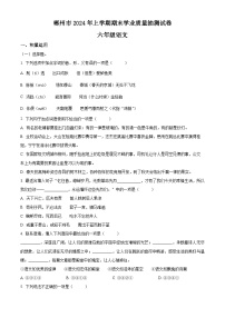 湖南省郴州市2023-2024学年六年级下册期末考试语文试卷（原卷版+解析版）