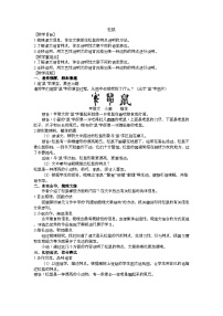 小学语文松鼠教案及反思