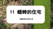 语文四年级上册蟋蟀的住宅完美版课文课件ppt