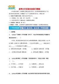 专题05 近义词、反义词（专项训练）-2024年小升初语文复习专项训练（统编版）