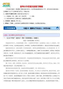 专题09 理解句子的含义（专项训练）-2024年小升初语文复习专项训练（统编版）