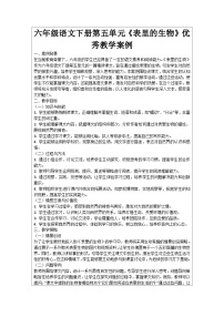 小学语文人教部编版六年级下册表里的生物导学案及答案