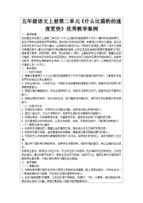 小学语文人教部编版五年级上册什么比猎豹的速度更快学案设计