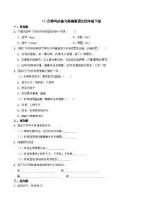 小学语文人教部编版四年级下册白桦课后测评