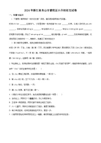 浙江省舟山市普陀区2024年统编版小升初考试语文试卷（原卷版+解析版）