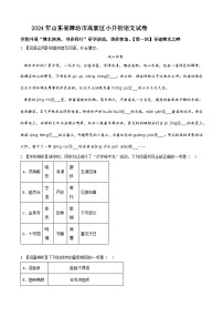 山东省潍坊市高新区2024年统编版小升初考试语文试卷（原卷版+解析版）