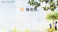人教部编版五年级上册桂花雨一等奖课文课件ppt
