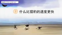 小学什么比猎豹的速度更快精品课文ppt课件
