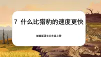 小学语文人教部编版五年级上册什么比猎豹的速度更快公开课ppt课件
