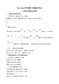 2023-2024学年江苏省徐州市邳州市五年级下学期期末语文试卷（含答案解析）