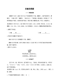 2024-2025学年小升初语文专项复习：11 文言文阅读-部编版