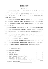 小学统编版（2024）搭石达标测试