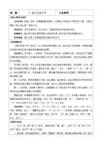 统编版（2024）二年级上册难忘的泼水节教学设计