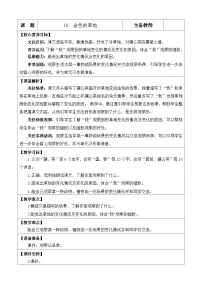 统编版（2024）三年级上册金色的草地教案