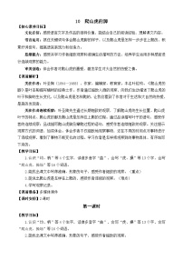 语文统编版（2024）爬山虎的脚教案