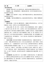 小学统编版（2024）太阳教学设计