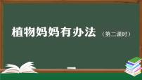 小学语文植物妈妈有办法授课ppt课件