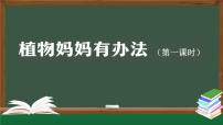 小学统编版（2024）植物妈妈有办法授课ppt课件