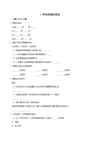 小学统编版（2024）呼风唤雨的世纪达标测试