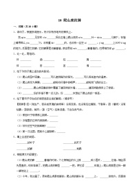 统编版（2024）四年级上册爬山虎的脚复习练习题