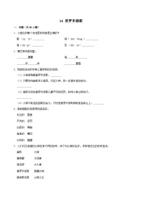 小学语文统编版（2024）四年级上册普罗米修斯课时训练