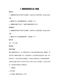 小学语文统编版（2024）二年级上册植物妈妈有办法第二课时教学设计