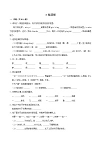 统编版（2024）五年级上册桂花雨综合训练题