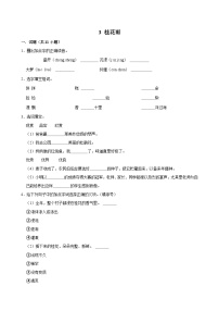 统编版（2024）五年级上册桂花雨测试题