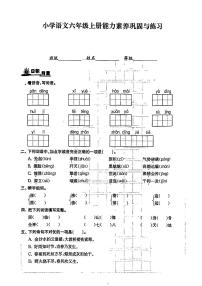 山东省临沂市马站镇2024-2025学年六年级上学期第一次月考语文试卷