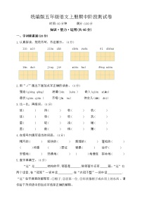 期中阶段测试卷（试题）2024-2025学年统编版语文五年级上册