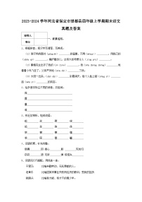 2023-2024学年河北省保定市望都县四年级上学期期末语文真题及答案