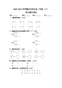 江西省赣州市信丰县2023-2024学年一年级上学期期末考试语文试卷