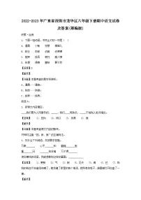 2022-2023学年广东省深圳市龙华区六年级下册期中语文试卷及答案(部编版)