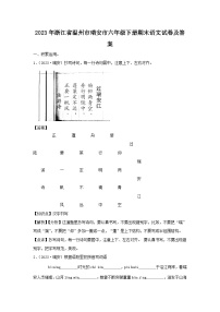 2023-2024学年浙江省温州市瑞安市六年级下册期末语文试卷及答案