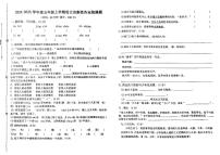 山东省泰安市新泰市2024-2025学年五年级上学期第一次月考语文试卷