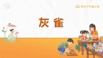 小学语文统编版（2024）三年级上册灰雀教学演示课件ppt