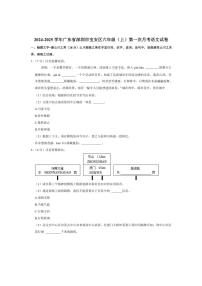 [语文]广东省深圳市宝安区2024～2025学年六年级上学期第一次月考试卷(有答案)