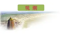 小学语文统编版（2024）四年级上册观潮说课课件ppt