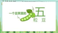 统编版（2024）四年级上册一个豆荚里的五粒豆课文内容课件ppt