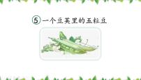 语文四年级上册一个豆荚里的五粒豆图片ppt课件