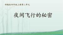 小学语文统编版（2024）四年级上册夜间飞行的秘密示范课ppt课件