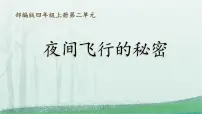 小学语文统编版（2024）四年级上册夜间飞行的秘密示范课ppt课件