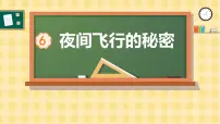 语文四年级上册夜间飞行的秘密教学演示ppt课件
