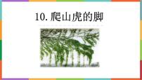 统编版（2024）四年级上册爬山虎的脚备课课件ppt