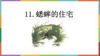小学语文统编版（2024）四年级上册蟋蟀的住宅教案配套ppt课件