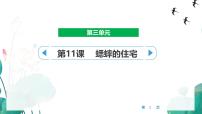 统编版（2024）四年级上册蟋蟀的住宅课文配套课件ppt