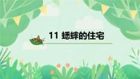 统编版（2024）四年级上册蟋蟀的住宅说课课件ppt
